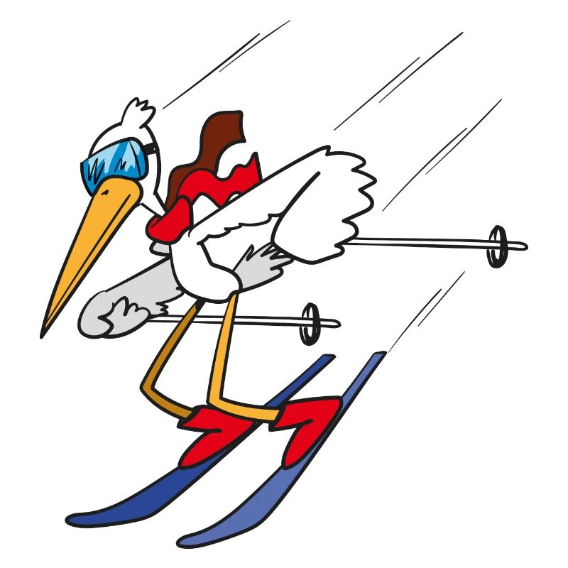 Ski Vogel