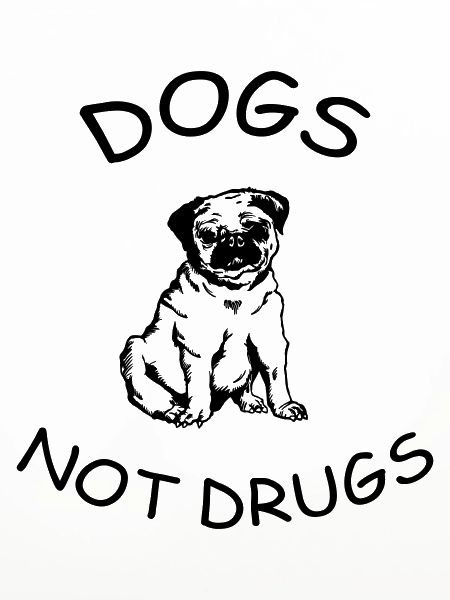 Hunde keine Drogen