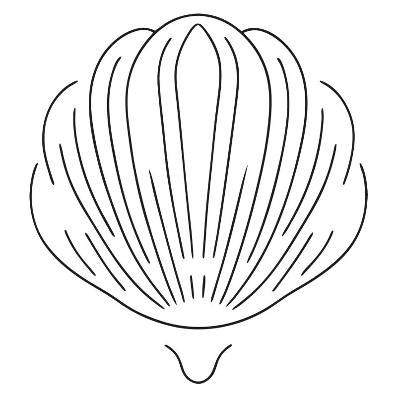 Muschel