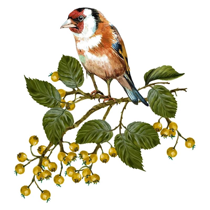 Bunter Vogel