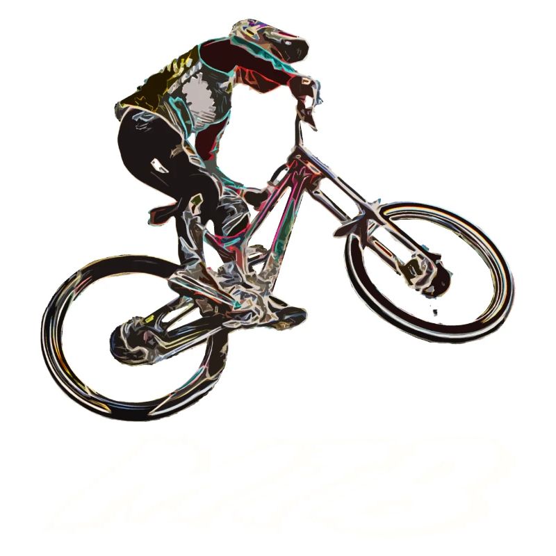 MTB Abfahrt