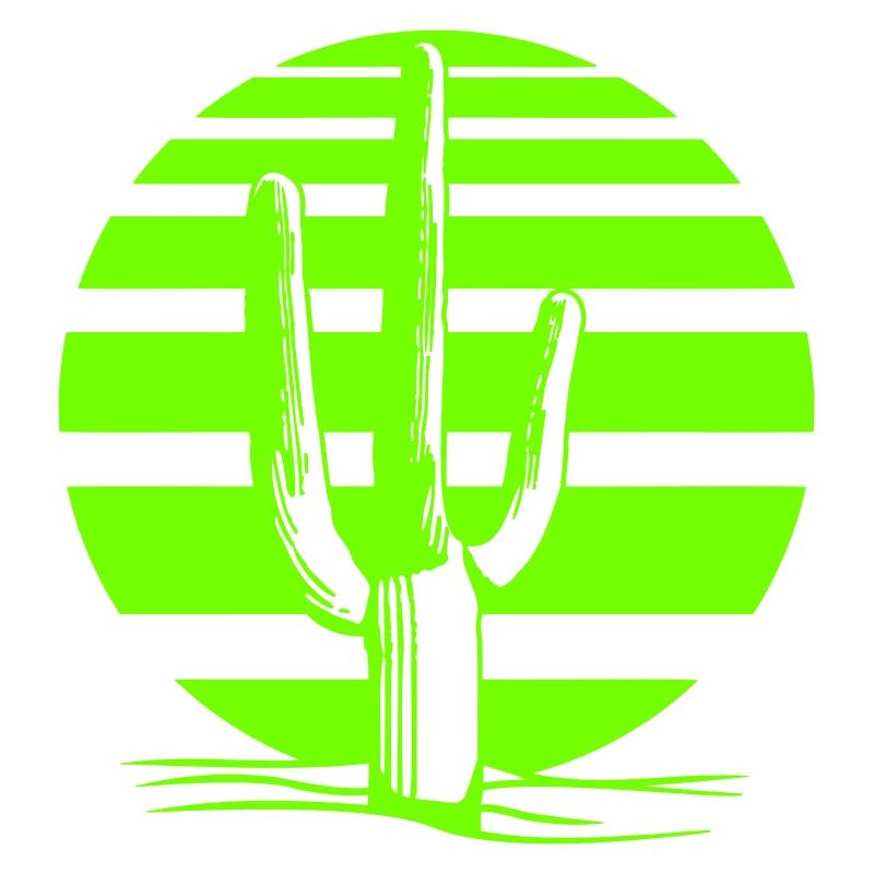 Cactus Desert Sunset Evening Night Cacti