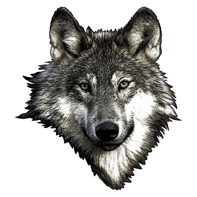 Wolfsgesicht