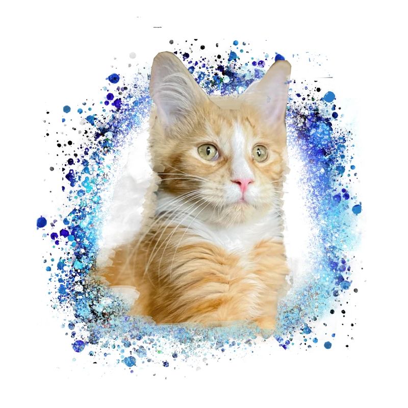 maincoon,katze,graffiti,malerei, Maine-Coon-Katze,