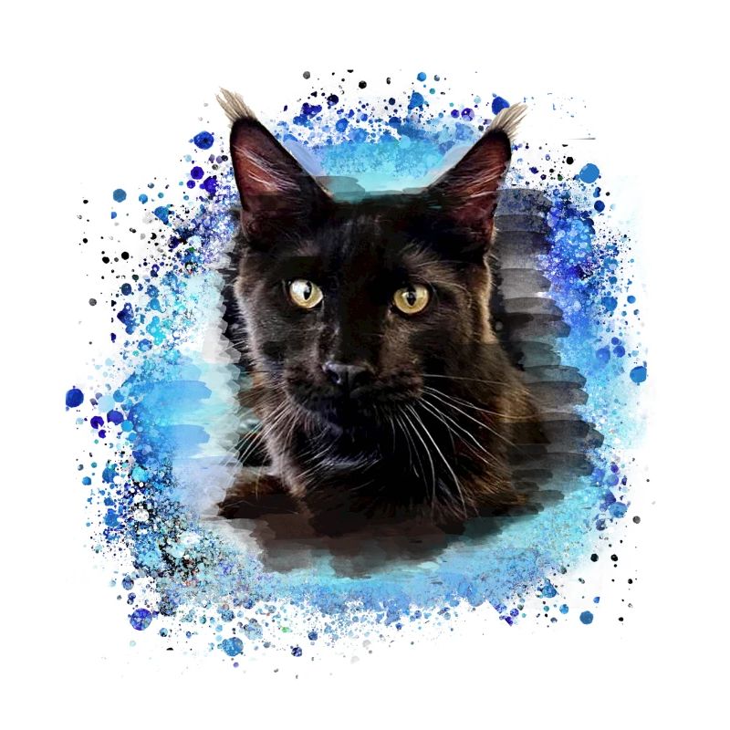 maincoon,katze,graffiti,malerei, Maine-Coon-Katze