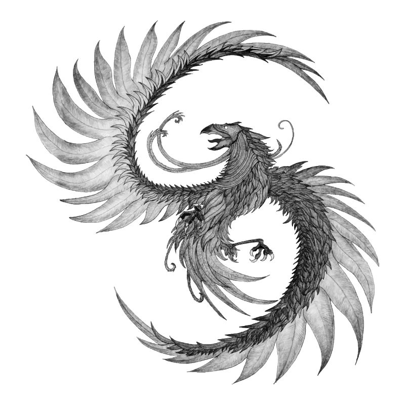 Phoenix de ses cendres