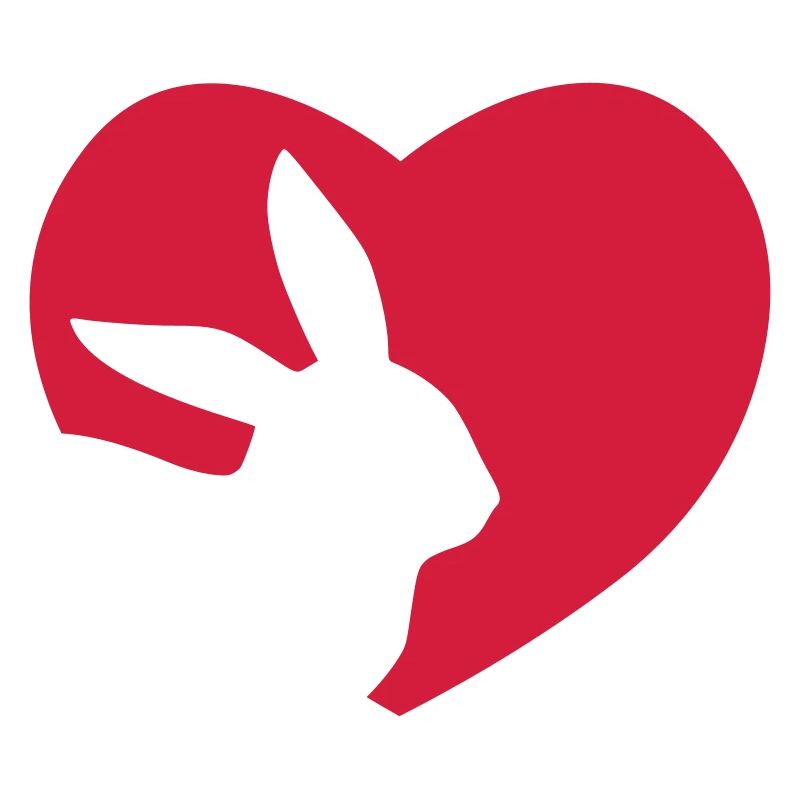 Dear Rabbit Heart Lover Gift