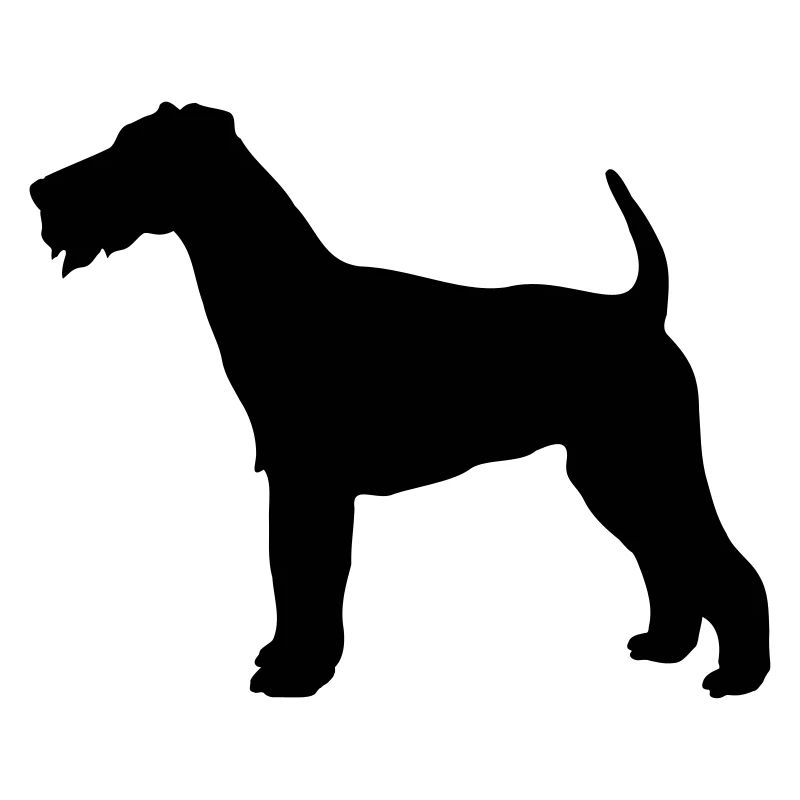 Terrier