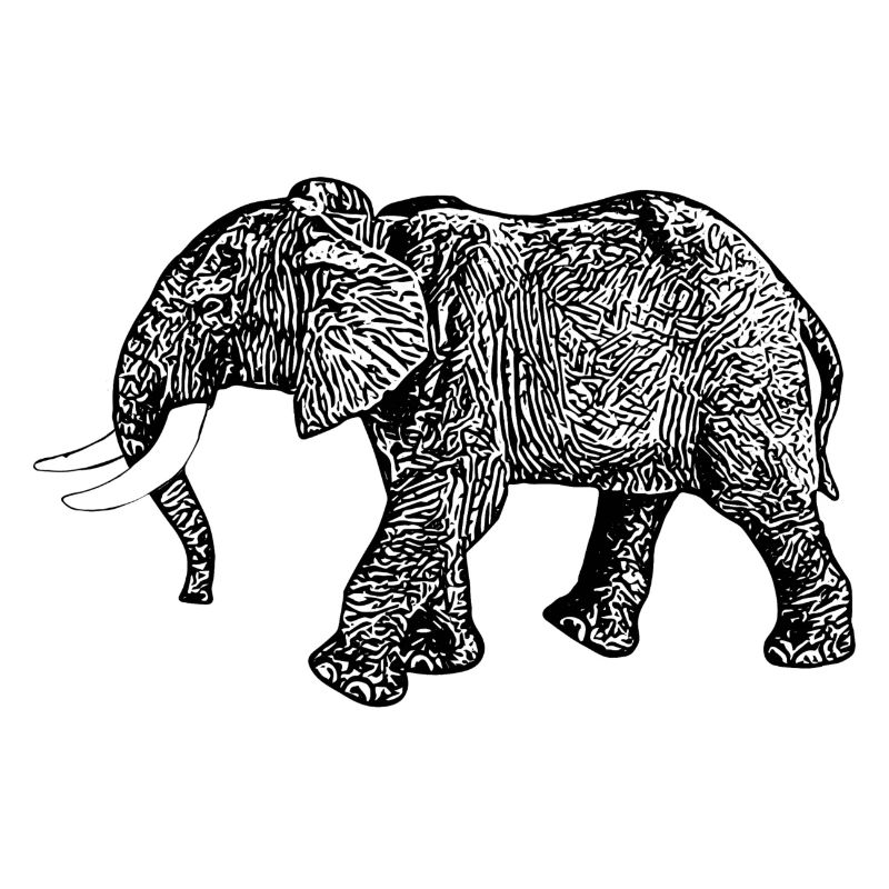 Elefant