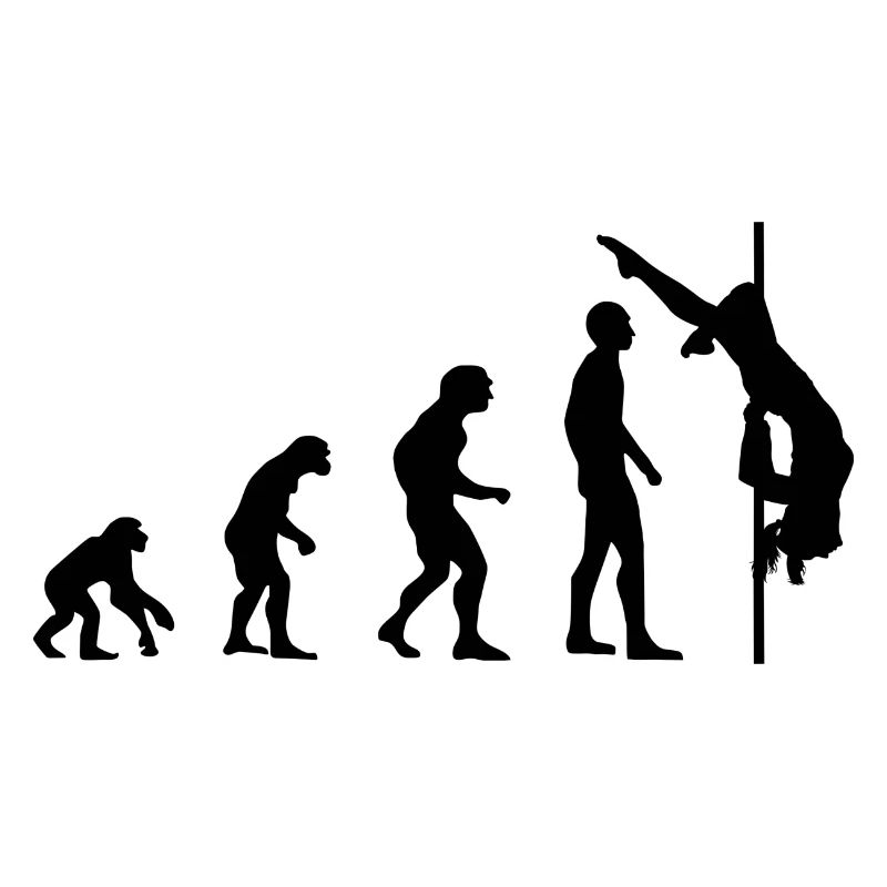 Pole Dance Training Dance Workout Shirt Gift