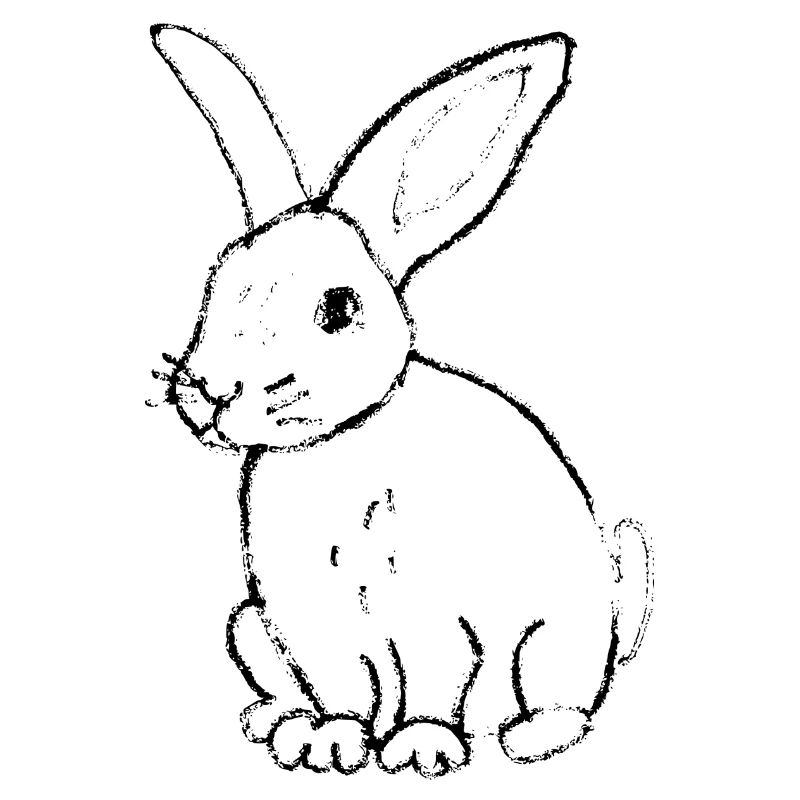 Hase