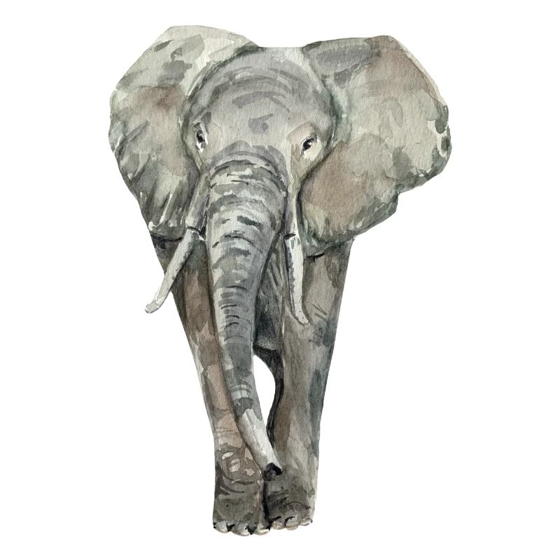 Elefant