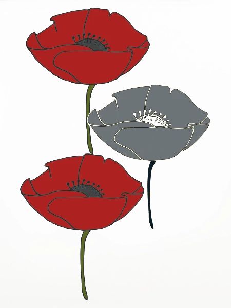 mohnblumen und grau