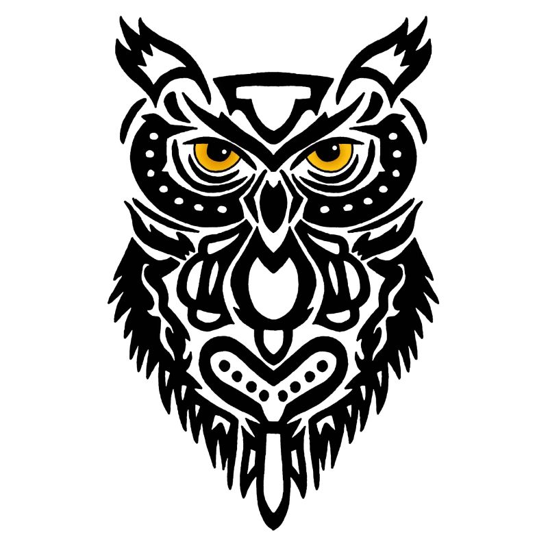 Der Blick der schwarzen Eule