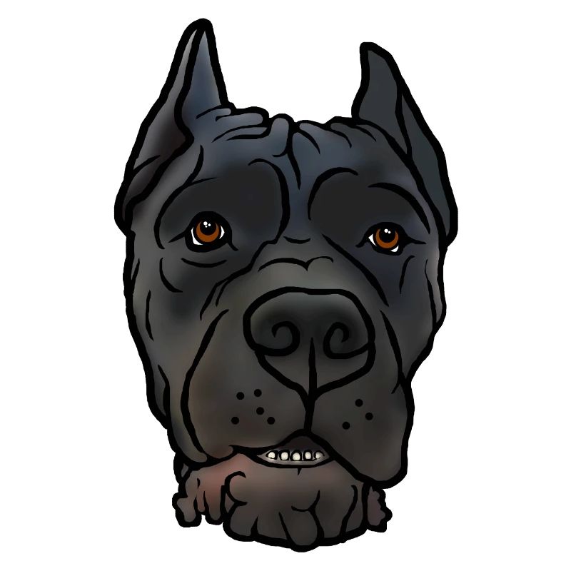 Cane Corso accroche la tête dans un style comique