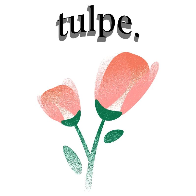 tulpe.