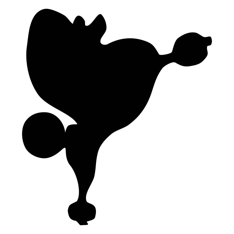 Pudel