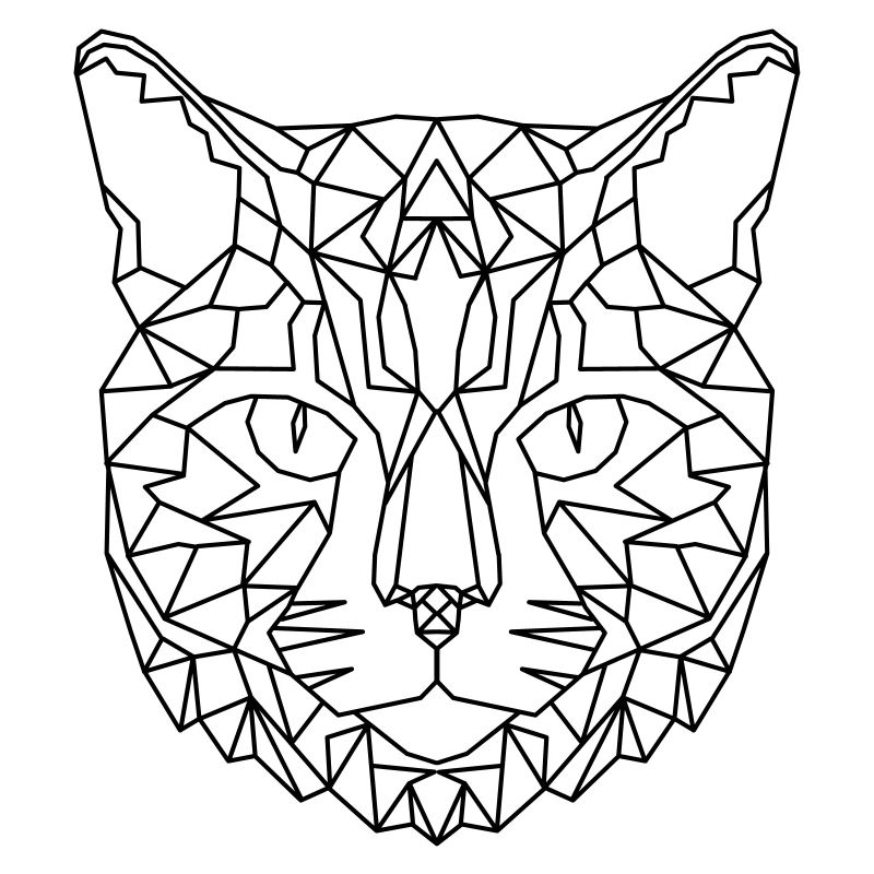 Katze Geometric