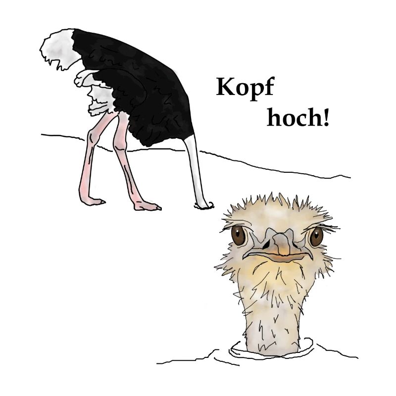 Kopf hoch, Vogel Strauss