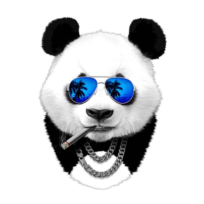 Cooler Panda