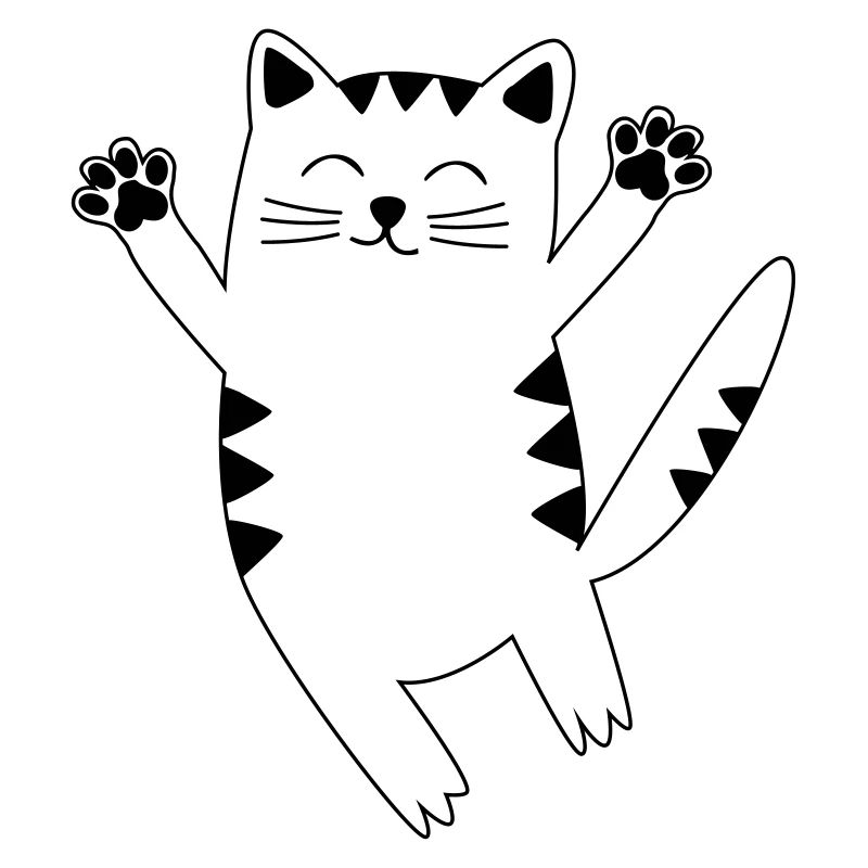 chat
