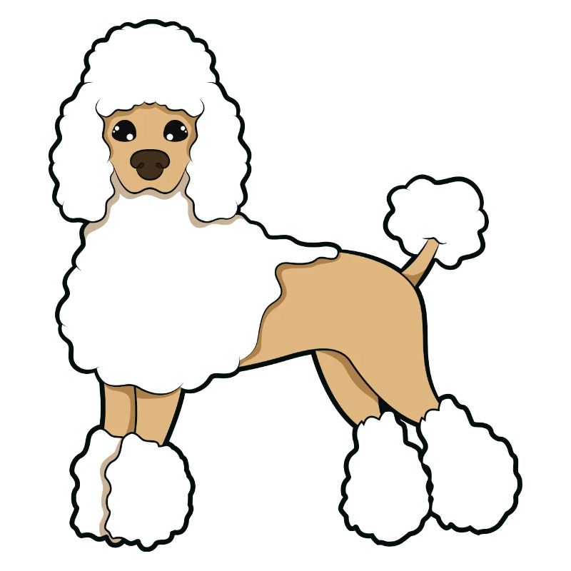 Pudel