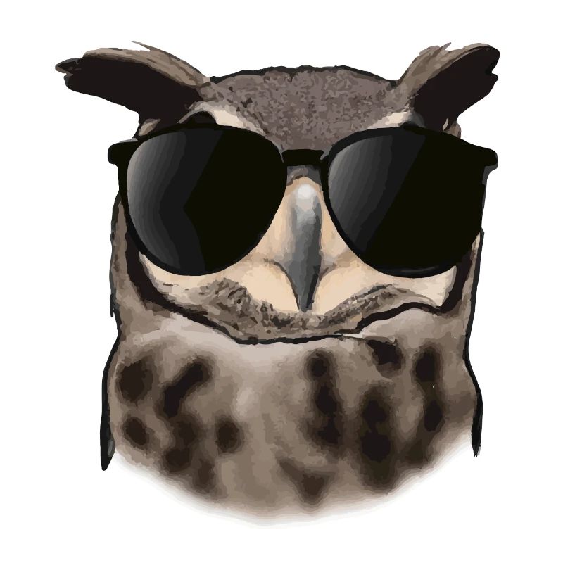 Eule mit Sonnenbrille Geschenkidee