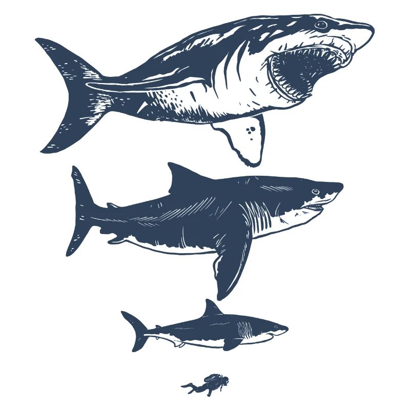 Megalodon