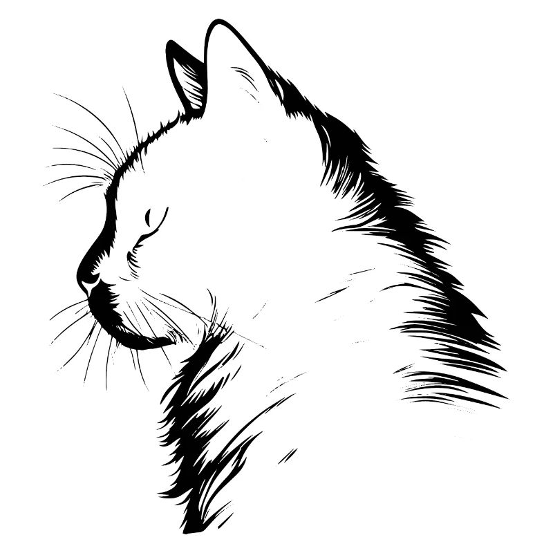 Chat, Motif De Chat