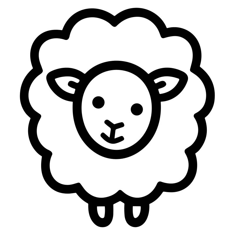 sheep