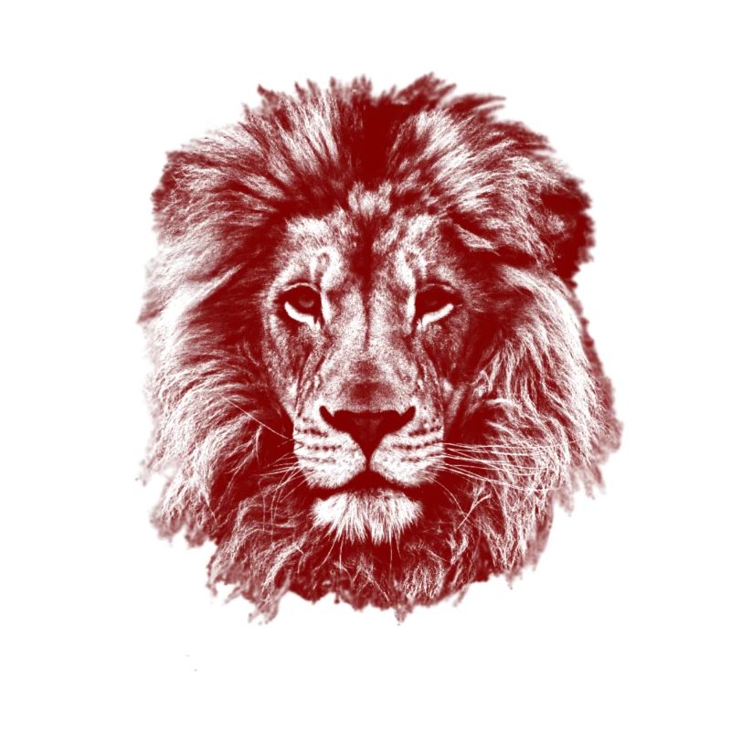Löwe Rot