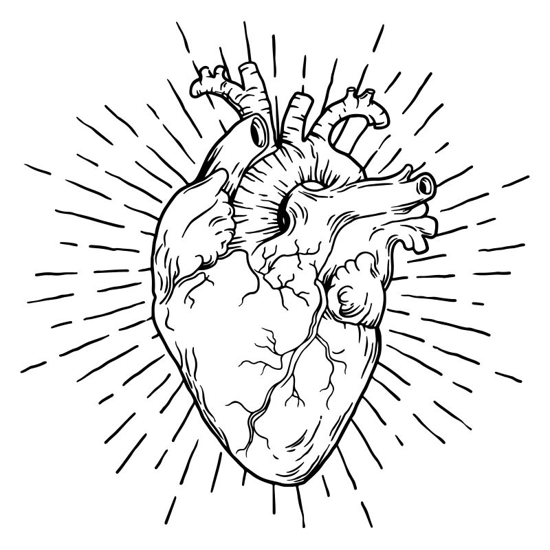 heart