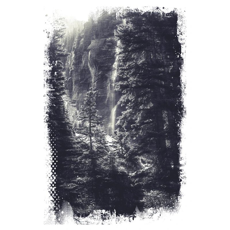 Wald Blick Landschaft