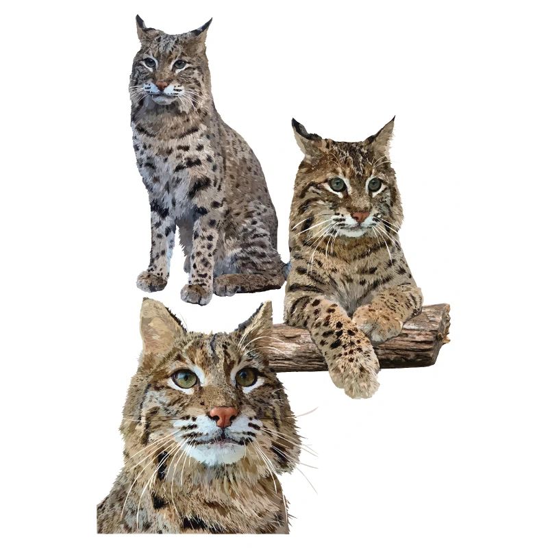 Luchs