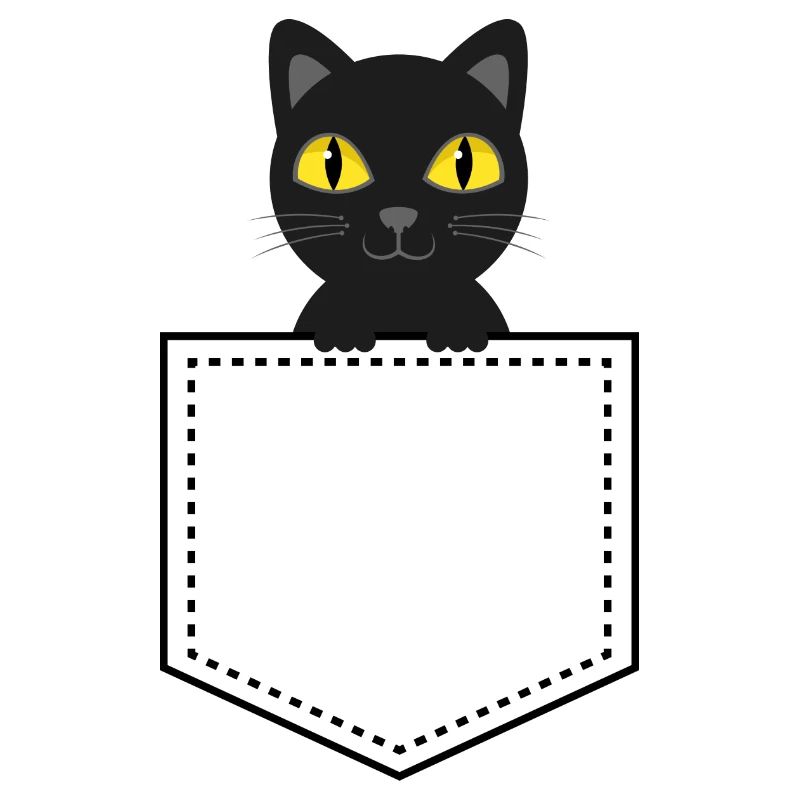 Taschentier schwarze Katze