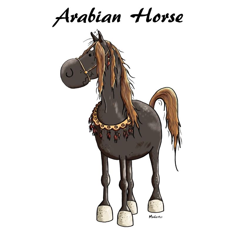 Verträumtes Araber Pferd - Araber