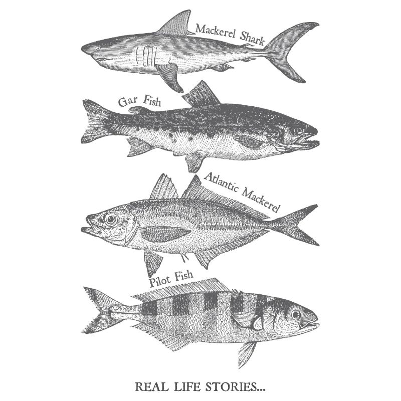 Echte Fischsilhouetten