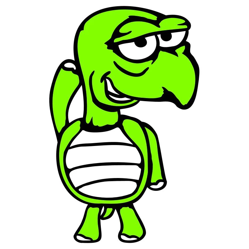 tortue espiègle drôle idiot honteux effronté