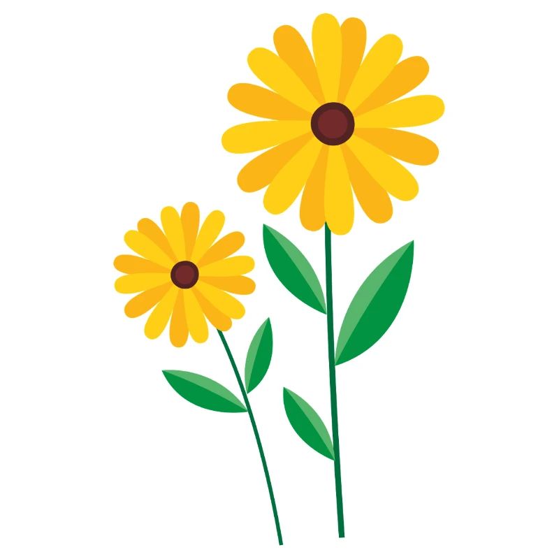 Blume