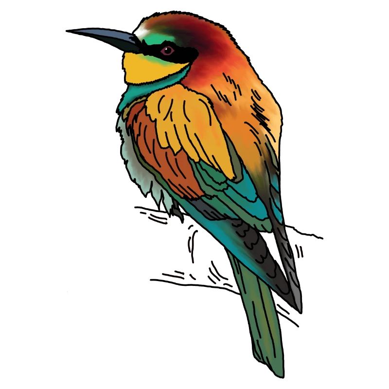 Bee-eater