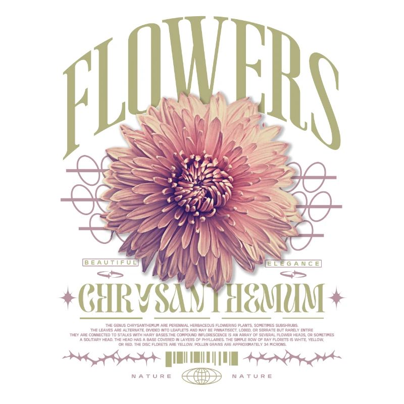 Chrysanthème Fleurs de chrysanthème