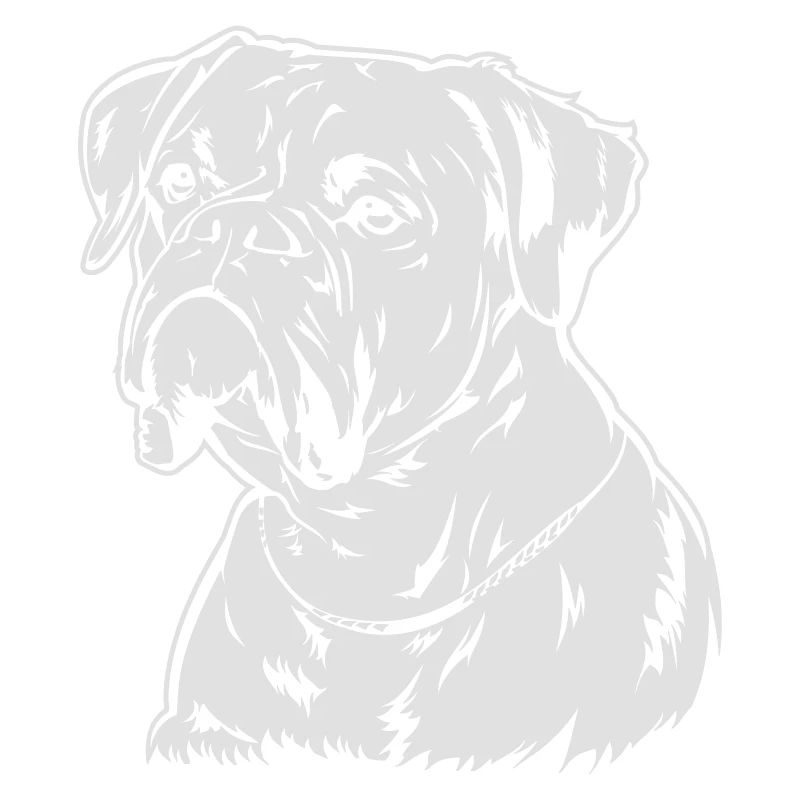 Boxer
