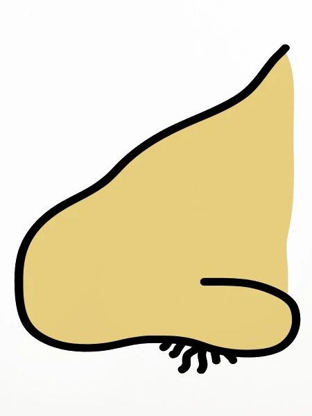 nose