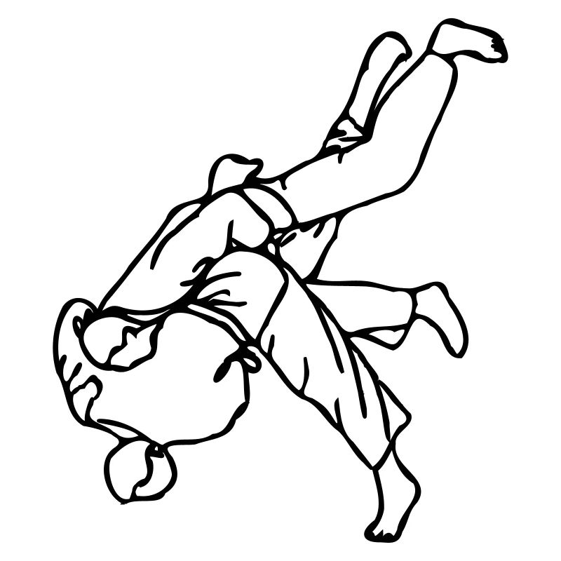 technique de judo