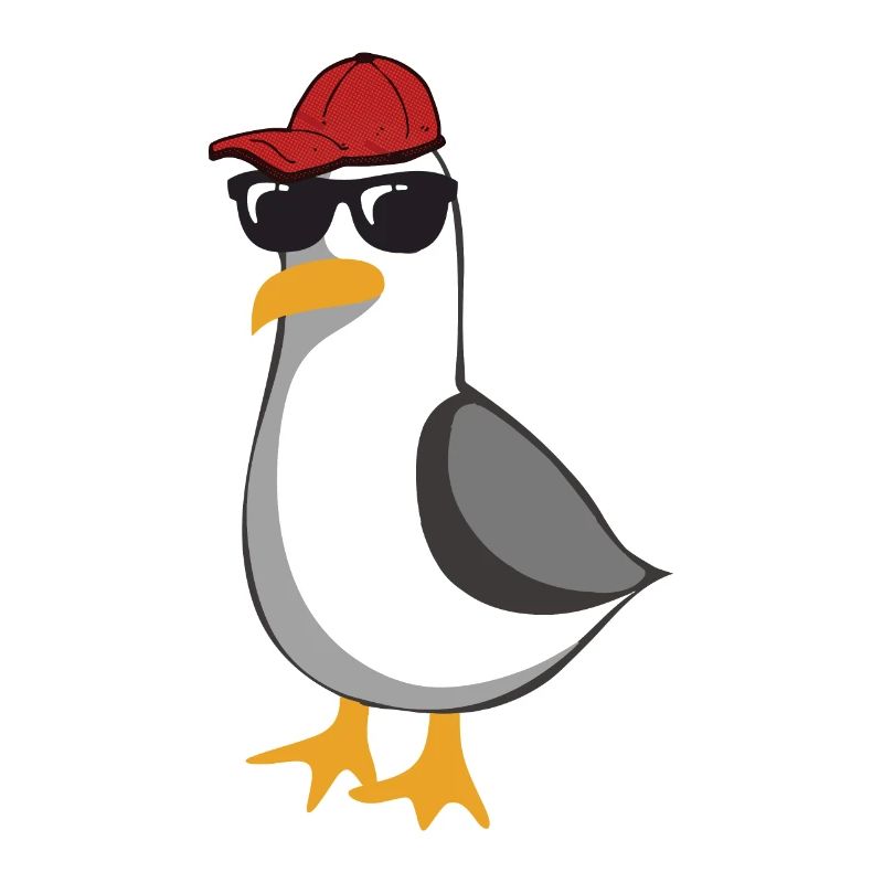 Paulis coole Möwe