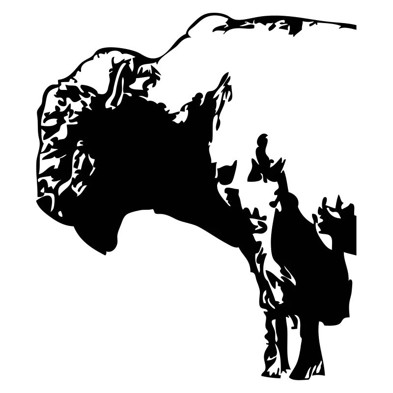 Buffalo - Bull