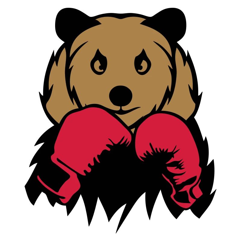 Bear boxer glove boxing