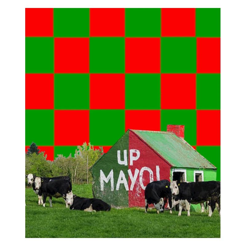 County Mayo GAA