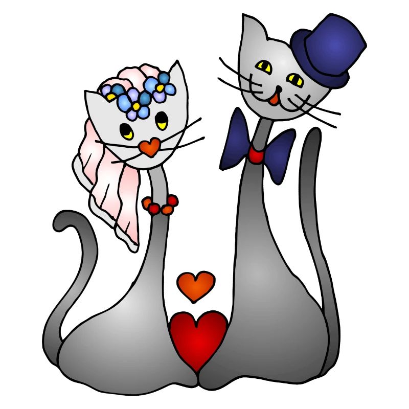 Katzen