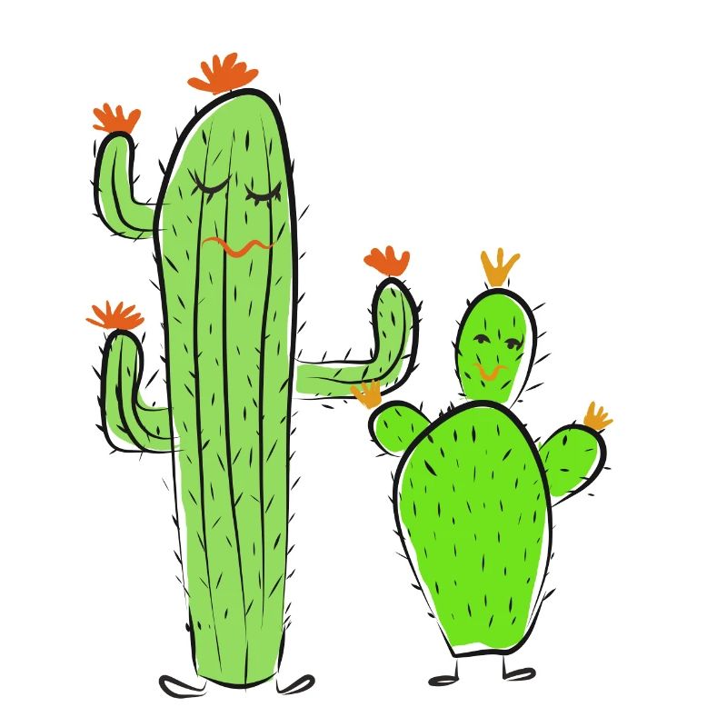 two cacti
